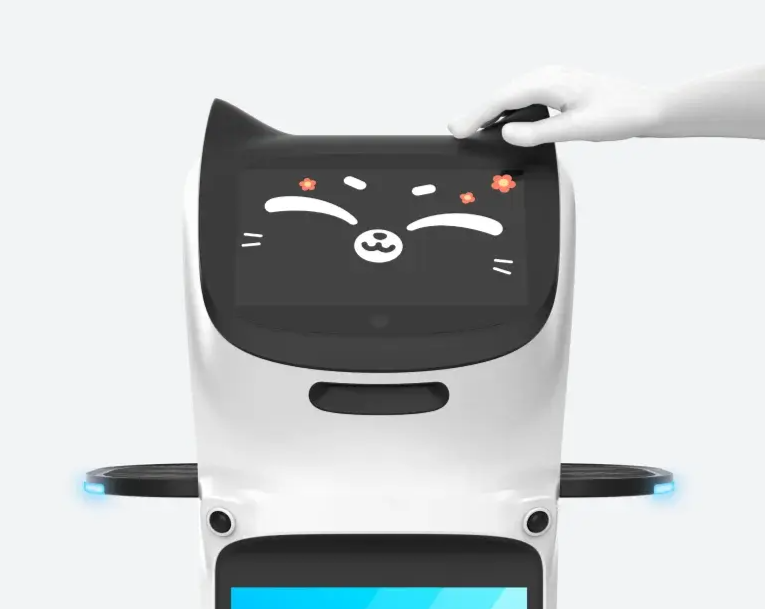 Robot
